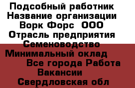 Подсобный работник › Название организации ­ Ворк Форс, ООО › Отрасль предприятия ­ Семеноводство › Минимальный оклад ­ 30 000 - Все города Работа » Вакансии   . Свердловская обл.,Алапаевск г.